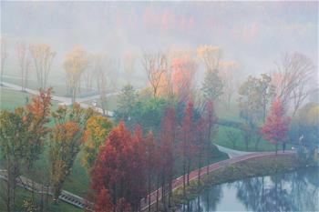 貴陽(yáng)：初冬霧景美如畫(huà)