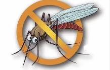 夏季，常見蚊蟲如何應(yīng)對