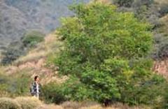 護(hù)林員李強的&ldquo;羅山之戀&rdquo;