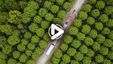 第十一集：你好！地球衛(wèi)士