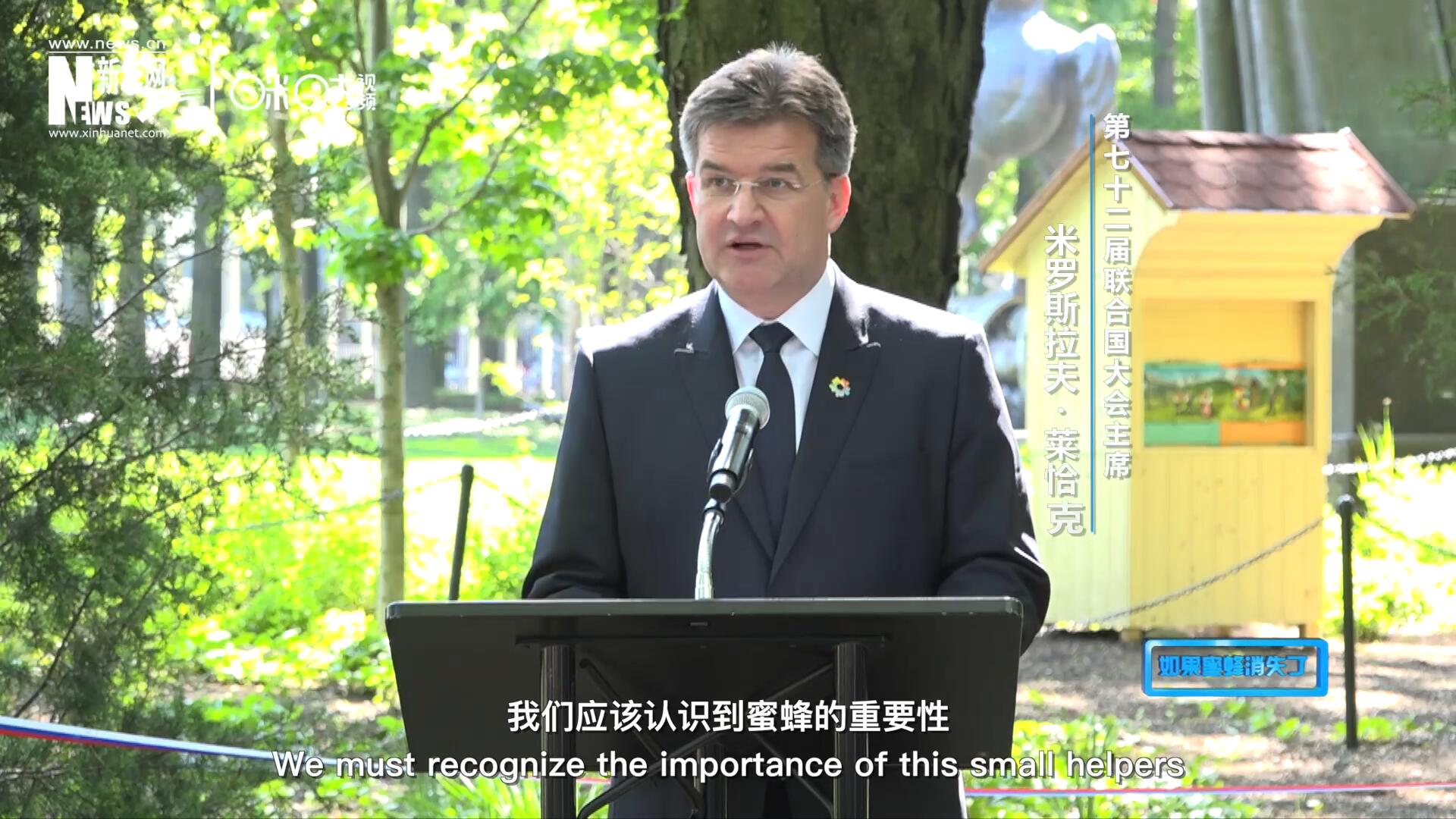 我們應(yīng)該認識到蜜蜂的重要性，所以我們用&ldquo;世界蜜蜂日&rdquo;提高大家保護蜜蜂的意識，并且用實際行動去保護蜜蜂