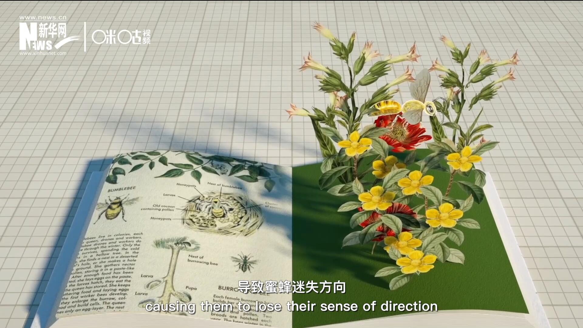 殺蟲劑會破壞蜜蜂的神經(jīng)系統(tǒng)，導(dǎo)致蜜蜂迷失方向，無法回到蜂房，還會降低蜜蜂的抵抗力