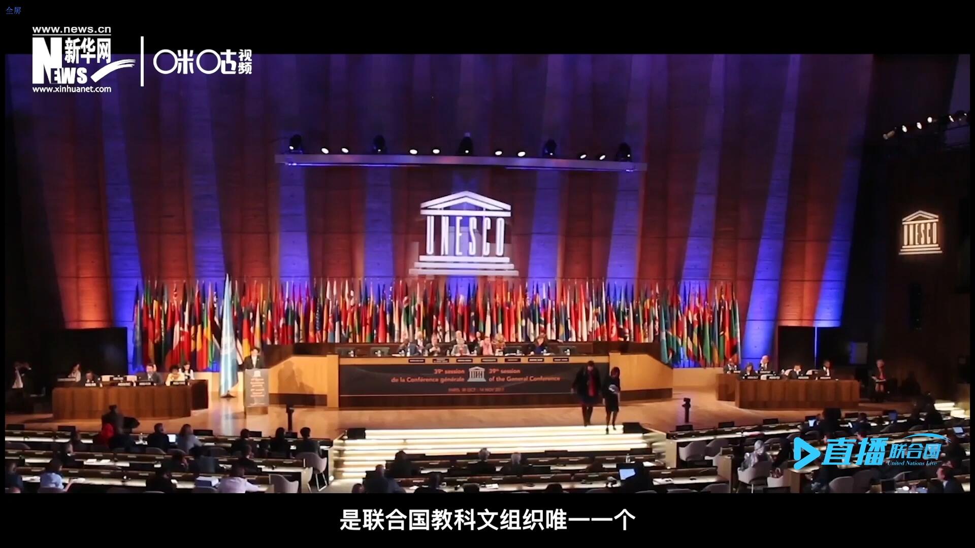 民間藝術(shù)國(guó)際組織成立于1979年，是聯(lián)合國(guó)教科文組織唯一一個(gè)以保護(hù)和挖掘國(guó)際民間藝術(shù)為工作中心的國(guó)際機(jī)構(gòu)。