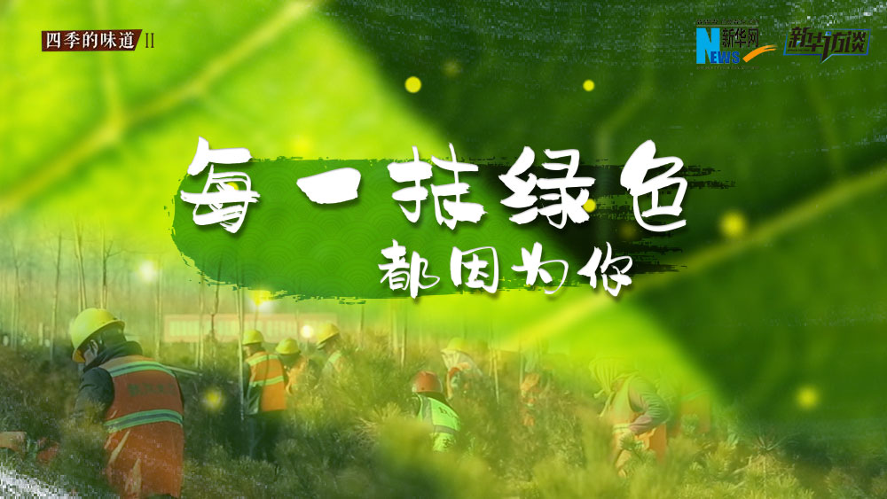 千年秀林，每一抹綠色都因為你