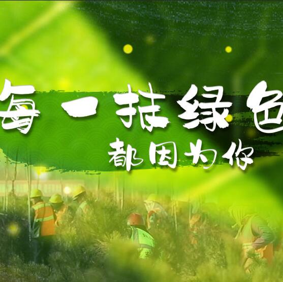 千年秀林，每一抹綠色都因?yàn)槟? /></a>       
<div   id=