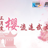 三月賞櫻，流連武大