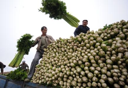 劉永富：發(fā)展產(chǎn)業(yè)脫貧仍是精準扶貧、精準脫貧主攻方向