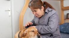 &ldquo;有你在身旁，真好&rdquo;