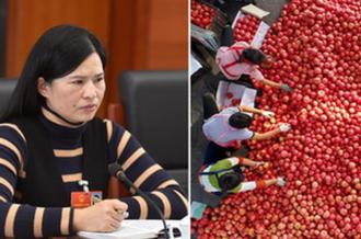 全國人大代表曾云英：新型農(nóng)業(yè)將迎來高質量發(fā)展的機遇