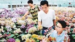 臺商眼中的改革開放：風(fēng)景這邊獨好 要去，要去，要去！