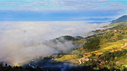 臺胞臺商熱議陜西惠臺&ldquo;60條&rdquo;：期盼落實、共享機(jī)遇