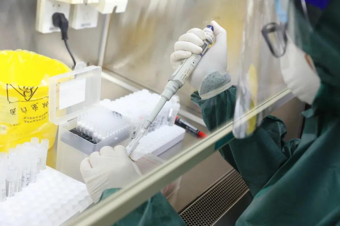 22人連軸轉(zhuǎn) 24小時(shí)&ldquo;搶&rdquo;出上萬份核酸報(bào)告