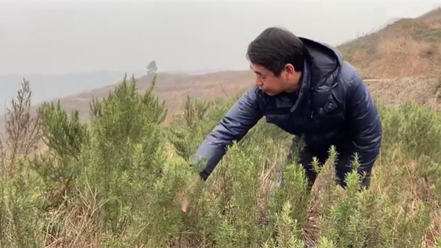 新春走基層｜脫貧后，駐村扶貧隊(duì)長在干啥？