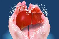 【健康解碼】轉(zhuǎn)氨酶正常肝臟就一定正常嗎？