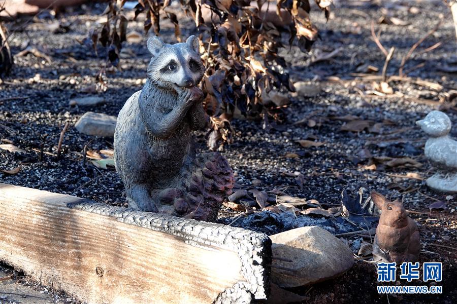 （國(guó)際&middot;圖文互動(dòng)）（4）一場(chǎng)山火，讓這個(gè)冬天格外冷&mdash;&mdash;探訪美國(guó)加州山火災(zāi)區(qū)