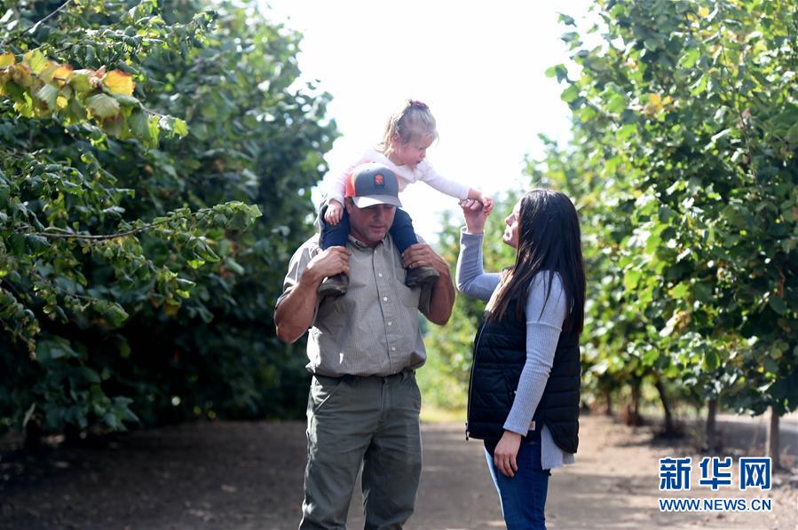 (國(guó)際·圖文互動(dòng))(2)“這些樹(shù)寄托著我們對(duì)中國(guó)市場(chǎng)的信心”——探訪美俄勒岡州榛子果農(nóng)