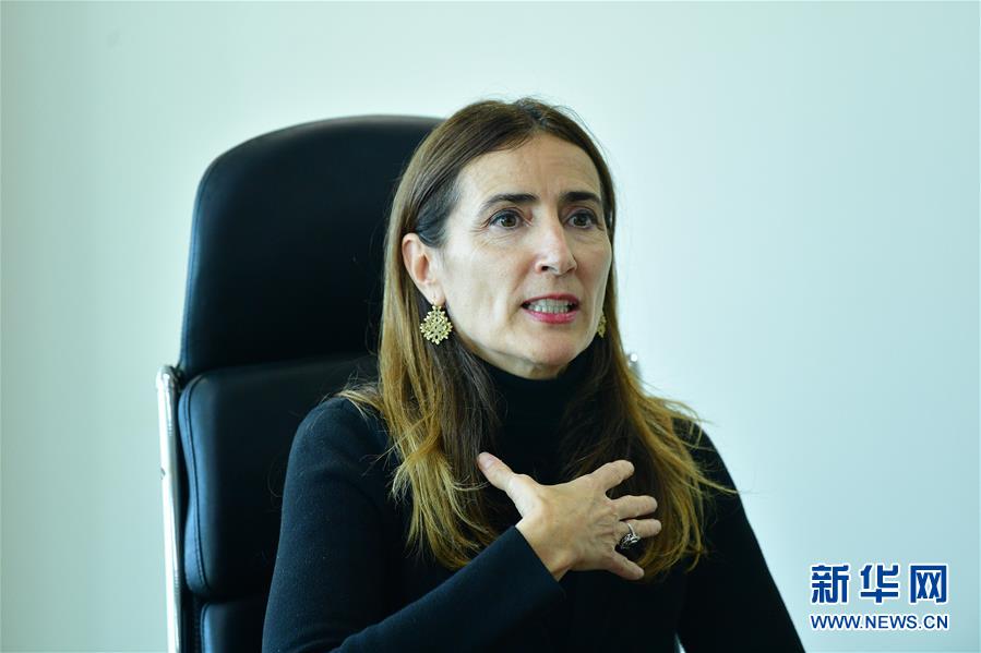 （國(guó)際 圖文互動(dòng)）（1）專訪：應(yīng)對(duì)氣候變化應(yīng)從談判轉(zhuǎn)向行動(dòng)&mdash;&mdash;訪2019年聯(lián)合國(guó)氣候變化大會(huì)主席施密特