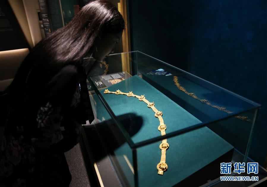 （港澳臺(tái)&middot;圖文互動(dòng)）（2）特寫：&ldquo;流浪&rdquo;到香港的阿富汗國(guó)寶