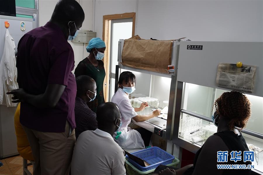 (在習(xí)近平新時(shí)代中國(guó)特色社會(huì)主義思想指引下——新時(shí)代新作為新篇章·總書記關(guān)切開(kāi)放事·圖文互動(dòng))(7)來(lái)中國(guó)“學(xué)種地”的“洋學(xué)生”