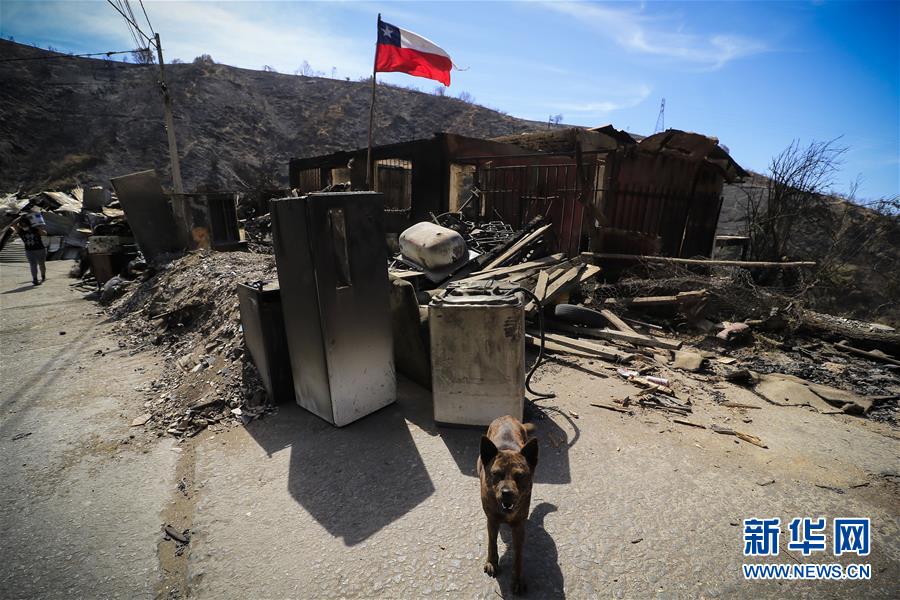 （國(guó)際&middot;圖文互動(dòng)）（1）智利瓦爾帕萊索森林大火殃及200多所房屋