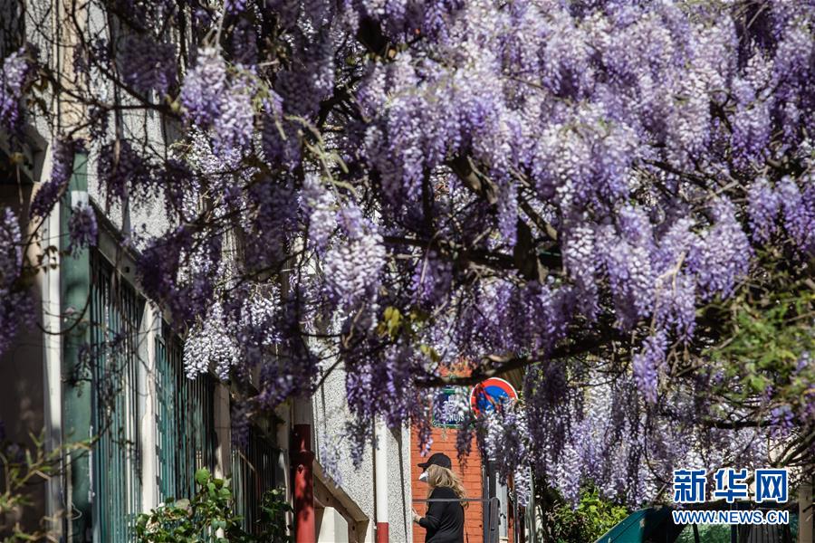 (國際疫情)(2)法國新冠患者住院人數(shù)首次出現(xiàn)下降