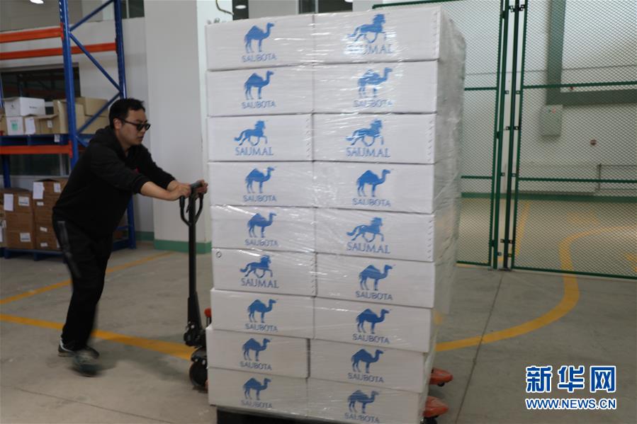 （國際&middot;圖文互動(dòng)）（8）從&ldquo;先遣隊(duì)&rdquo;到&ldquo;正規(guī)軍&rdquo;&mdash;&mdash;哈薩克斯坦駱駝奶粉入華記