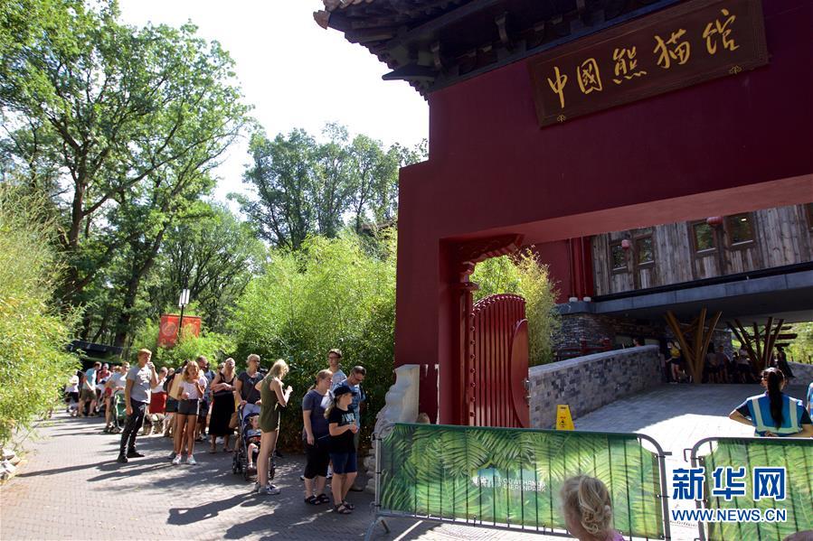 (國際·圖文互動(dòng))(2)旅荷大熊貓寶寶取名“梵星”