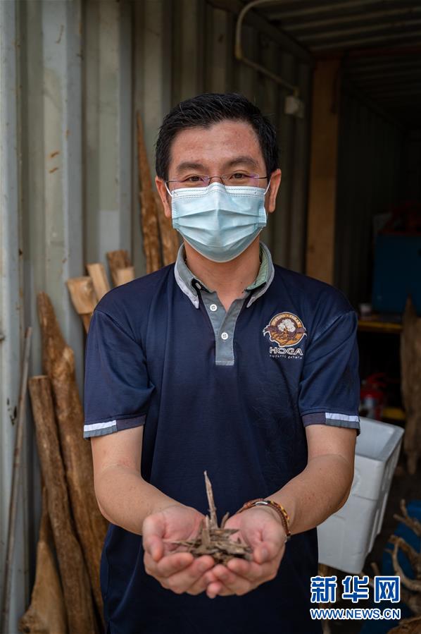 (新華全媒頭條·圖文互動)(10)攜手共“進” 開放共贏——寫在第三屆中國國際進口博覽會開幕之際