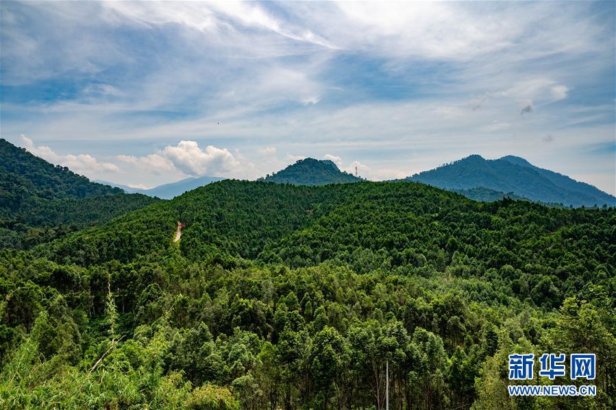 （第三屆進(jìn)博會(huì)&middot;圖文互動(dòng)）（2）專(zhuān)訪(fǎng)：進(jìn)博會(huì)提供了一個(gè)共享中國(guó)發(fā)展機(jī)遇的平臺(tái)