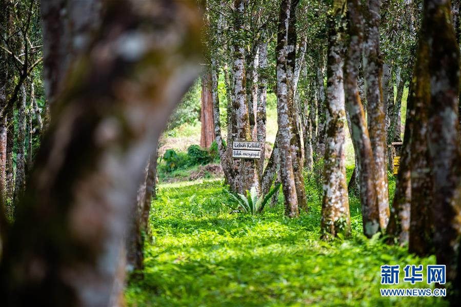 （第三屆進(jìn)博會(huì)&middot;圖文互動(dòng)）（3）專(zhuān)訪(fǎng)：進(jìn)博會(huì)提供了一個(gè)共享中國(guó)發(fā)展機(jī)遇的平臺(tái)