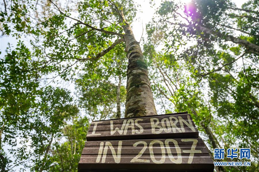 （第三屆進(jìn)博會(huì)&middot;圖文互動(dòng)）（4）專(zhuān)訪(fǎng)：進(jìn)博會(huì)提供了一個(gè)共享中國(guó)發(fā)展機(jī)遇的平臺(tái)