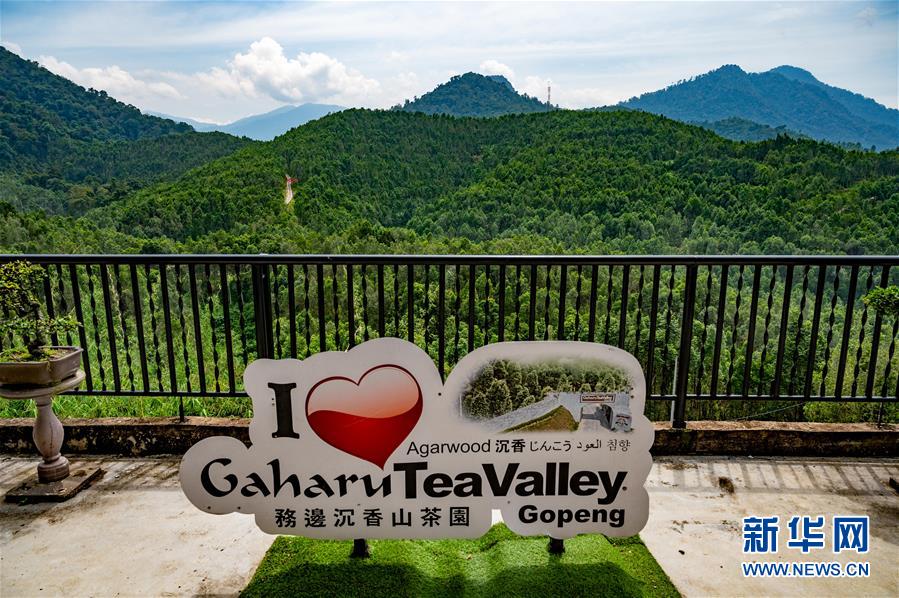 （第三屆進(jìn)博會(huì)&middot;圖文互動(dòng)）（11）專(zhuān)訪(fǎng)：進(jìn)博會(huì)提供了一個(gè)共享中國(guó)發(fā)展機(jī)遇的平臺(tái)