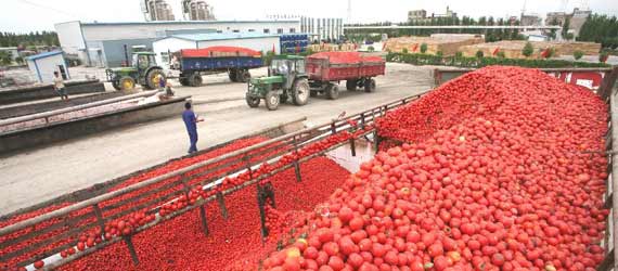 中國(guó)推動(dòng)構(gòu)建共贏、互信、發(fā)展的新絲綢之路