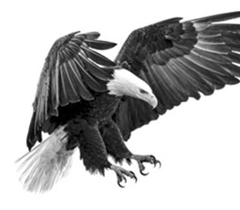 誰是世界秩序的真正破壞者？