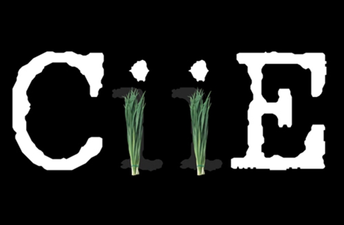 新華社創(chuàng)意動感視頻：考眼力！數(shù)數(shù)多少樣進(jìn)口貨