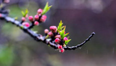 隨心而行，走走停停始終精彩。