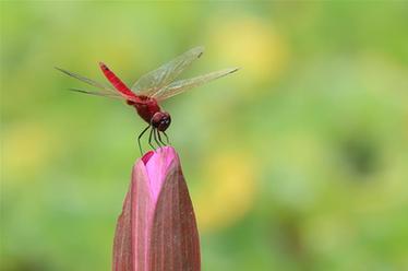 2019，精&ldquo;彩&rdquo;紛呈