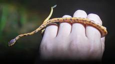 探索多姿多彩的&ldquo;生物寶庫&rdquo;