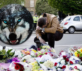 血案頻發(fā) "獨狼"緣何兇猛？