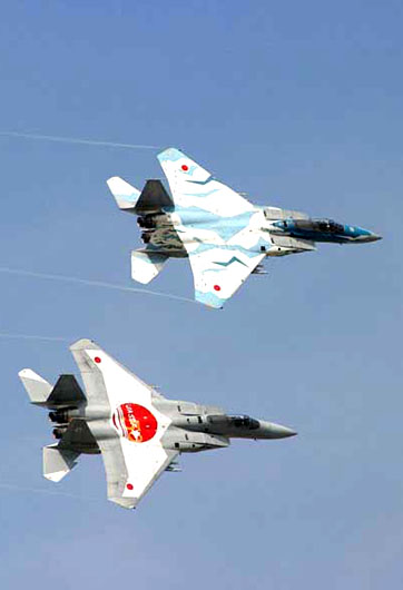 &ldquo;空中飛行自由&rdquo;是個偽命題