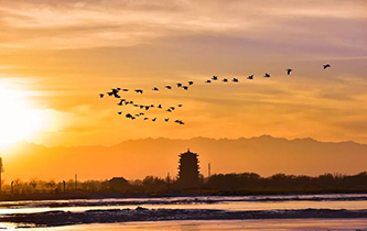 你想看的風(fēng)景，這里都有