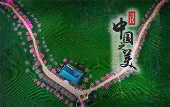 江山如畫，想把春的故事講給你聽